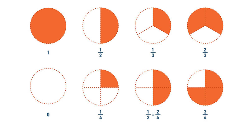The vector illustration shows a half, third, and quarter pie and proportion circle chart for the fraction concept.