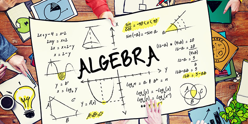 A group of students are discussing about the various problems in algebra. Before them is a white background poster holding the text algebra in the middle along with different types of questions pertaining to the concept.