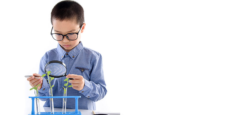 A small boy is experimenting with a young seedling plant using a magnifier for his science project.